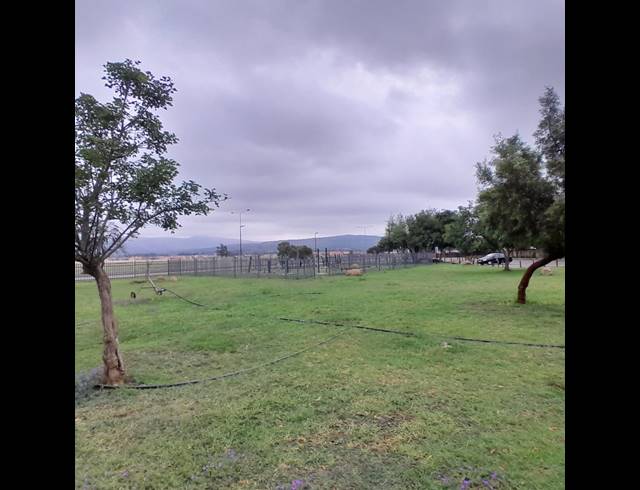 3 BEDROOM HOUSE FOR SALE IN WATERKLOOF EAST